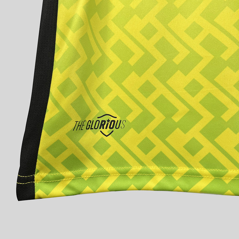 Camisa Botafogo Goleiro 23/24 - Amarelo